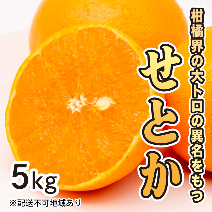 【先行予約】せとか約5kg【2025年2月以降発送】希少 広島 三原 佐木島 鷺島みかんじま フルーツ 蜜柑 柑橘 果物 みかん ミカン 産地直送 お取り寄せ 017021