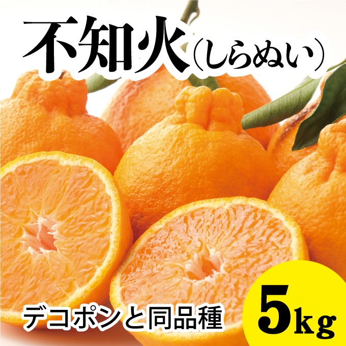 【先行予約】しらぬい約5kg【2025年3月以降発送】不知火 広島 三原 佐木島 鷺島みかんじま デコポン デコちゃん フルーツ 蜜柑 柑橘 果物 みかん ミカン 産地直送 お取り寄せ 017027