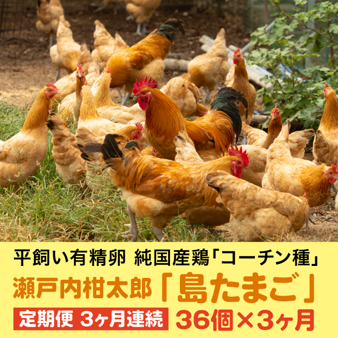 【3か月定期便】島たまご34個(破卵保障＋2個)《有精卵》合計108個 平飼い 新鮮 卵 玉子 瀬戸内柑太郎 純国産鶏 産地直送 コーチン 017033