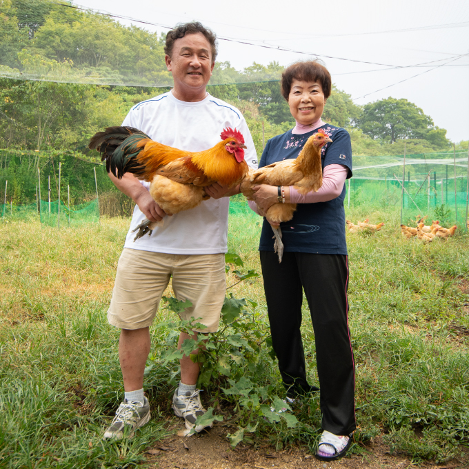 【3か月定期便】島たまご34個(破卵保障＋2個)《有精卵》合計108個 平飼い 新鮮 卵 玉子 瀬戸内柑太郎 純国産鶏 産地直送 コーチン 017033