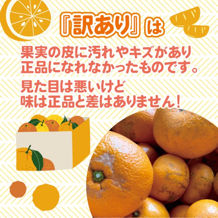  【ふるさと納税】【数量限定】≪訳アリ≫はるみ ＜約３kg＞  密柑 完熟 果物類 柑橘類 みかん フルーツ 糖度 甘い 濃厚 コク ジューシー 国産 広島三原産 産地直送 傷 017050