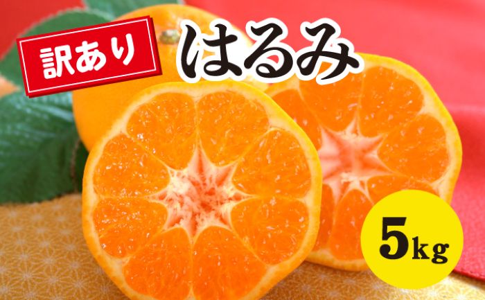 【ふるさと納税】【数量限定】≪訳アリ≫はるみ ＜約5kg＞ 家庭用 密柑 完熟 果物類 柑橘類 みかん フルーツ 糖度 甘い 濃厚 コク ジューシー 国産 広島三原産 産地直送 017051