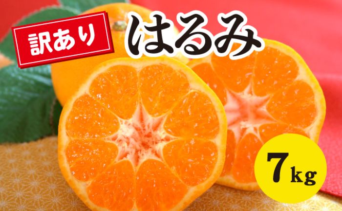  【ふるさと納税】【数量限定】≪訳アリ≫はるみ ＜約７kg＞  家庭用 密柑 完熟 果物類 柑橘類 みかん フルーツ 糖度 甘い 濃厚 コク ジューシー 国産 広島三原産 産地直送 傷 017052