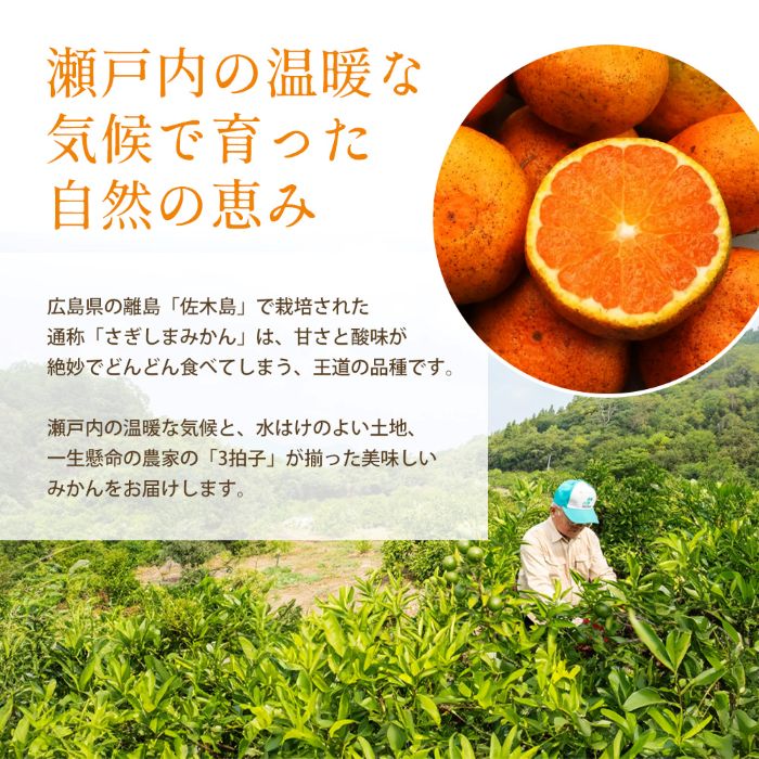 【ふるさと納税】【数量限定】青島ミカン ＜約３kg＞ 家庭用 青島みかん 完熟 果物類 柑橘類 みかん フルーツ 糖度 甘い 濃厚 コク ジューシー 国産 広島三原産 産地直送 017053