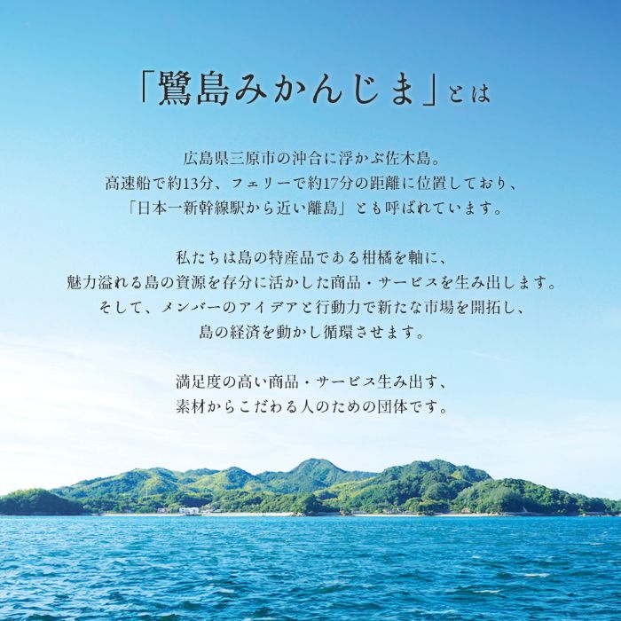 【ふるさと納税】【数量限定】青島ミカン ＜約5kg＞  果物類 柑橘類 みかん 青島みかん 完熟 フルーツ 糖度 甘い 濃厚 コク ジューシー 国産 広島三原産 産地直送 家庭用 017054