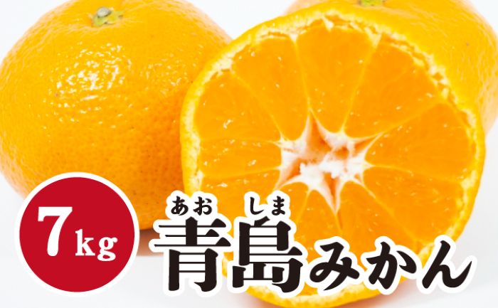  【ふるさと納税】【数量限定】青島ミカン ＜約7kg＞  青島みかん 完熟 果物類 柑橘類 みかん フルーツ 青島ミカン 糖度 甘い 濃厚 コク ジューシー 国産 広島三原産 産地直送 家庭用 017055