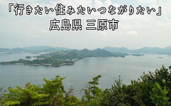 黒糖入りしょうが湯6箱(1箱20g×10入) ＜辛口＞国産生姜 しょうが湯 飲料 粉末タイプ ショウガ ジンジャー ホットドリンク 温活 023007