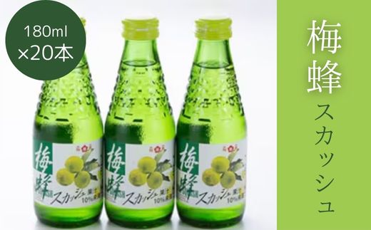 梅蜂スカッシュ(180ml×20本) ソーダ ジュース スカッシュ 炭酸飲料 梅ソーダ 梅ジュース ドリンク まとめ買い 023012