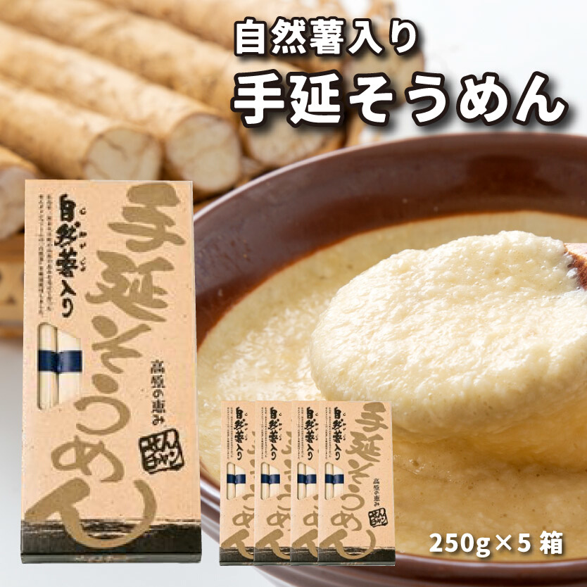 コシがあって美味♪手延べ乾麺の自然薯入りそうめん（250g×5箱）　029006