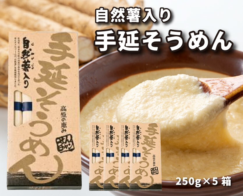 コシがあって美味♪手延べ乾麺の自然薯入りそうめん（250g×5箱）　029006