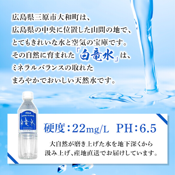 Ｇ７広島サミット2023で提供 広島だいわ天然水 白竜水 500ml×24本×2ケース 水 飲料水 天然水 田治米鉱泉所 ミネラル 軟水 ペットボトル 備蓄 災害用 防災 家庭備蓄 035006