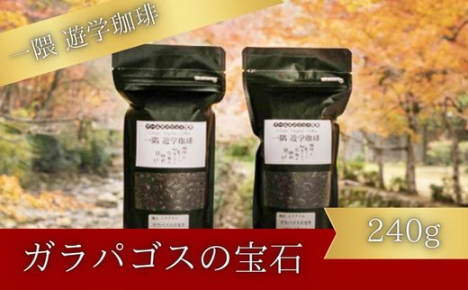 一隅 遊学珈琲　ガラパゴスの宝石 Jewels of Miconia（計240g）コーヒー 焙煎 豆 044001