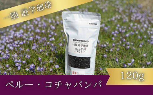 一隅 遊学珈琲　ペルー・コチャパンパ（120g）コーヒー 焙煎 豆 044002