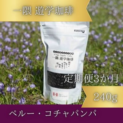 【3カ月定期便】一隅 遊学珈琲　ペルー・コチャパンパ（120g）コーヒー 焙煎 豆 044003