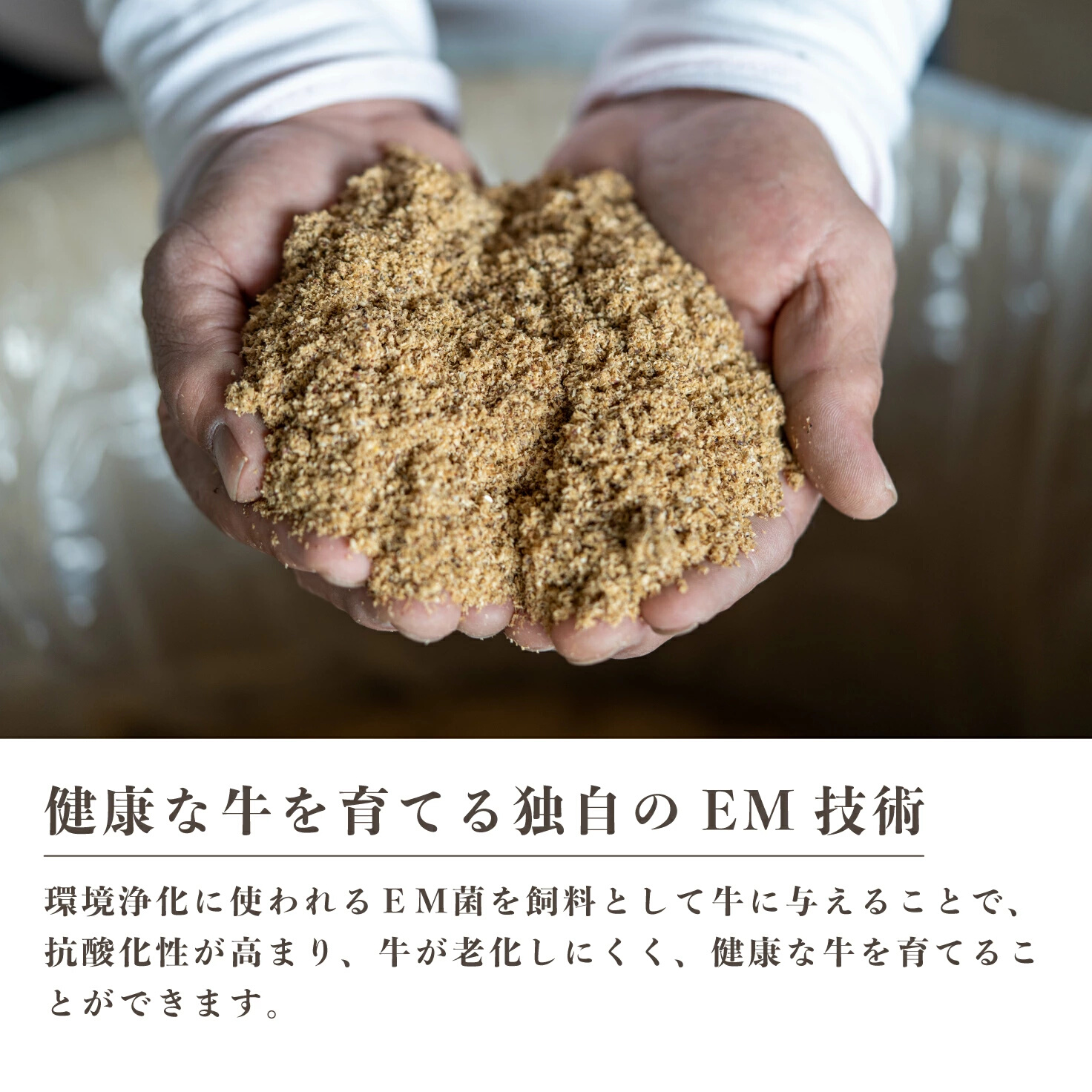 【ミノリフーズ】みのり牛切り落とし 1.25kg（250g×5パック） 052009