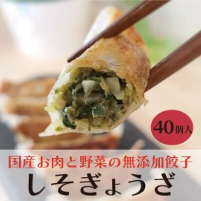 paoの無添加餃子「しそぎょうざ」520g(約40個) 餃子 ギョーザ 惣菜 冷凍 中華 点心 おかず おつまみ 国産野菜 しそ風味 058005