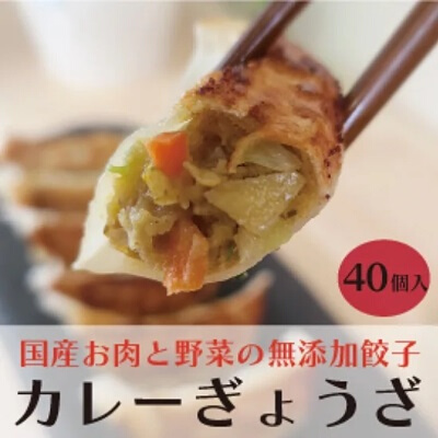 paoの無添加餃子「カレーぎょうざ」640g(約40個) 餃子 ギョーザ 惣菜 冷凍 中華 点心 おかず おつまみ 国産野菜 カレー風味 058006