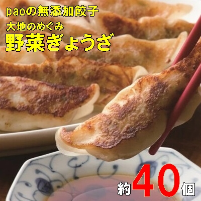 paoの無添加餃子「大地のめぐみ 野菜ぎょうざ」840g(約40個) 餃子 ギョーザ 惣菜 冷凍 中華 点心 おかず おつまみ 国産野菜 058007