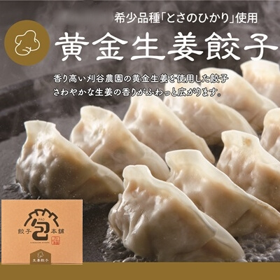 「黄金生姜餃子」260g(約20個) 餃子本舗 包 餃子 しょうが ギョーザ ぎょうざ 惣菜 冷凍 中華 点心 おかず おつまみ 国産野菜 058012