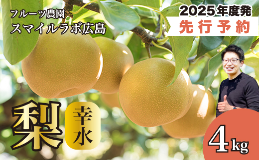 【先行受付】幸水（こうすい）4kg 梨 ナシ なし 新鮮 産地直送 広島県三原市 【2025年8月中旬以降順次発送】059009