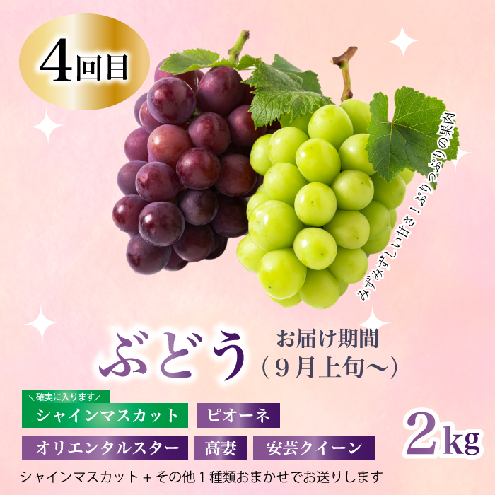 【定期便1年間】豪華フルーツお得パック いちご450g, さくらんぼ500g, 梨2kg, ぶどう2kg, りんご2kg 　詰め合わせ 定期便 1年間 採れたて 新鮮 産地直送 広島県三原市 059021