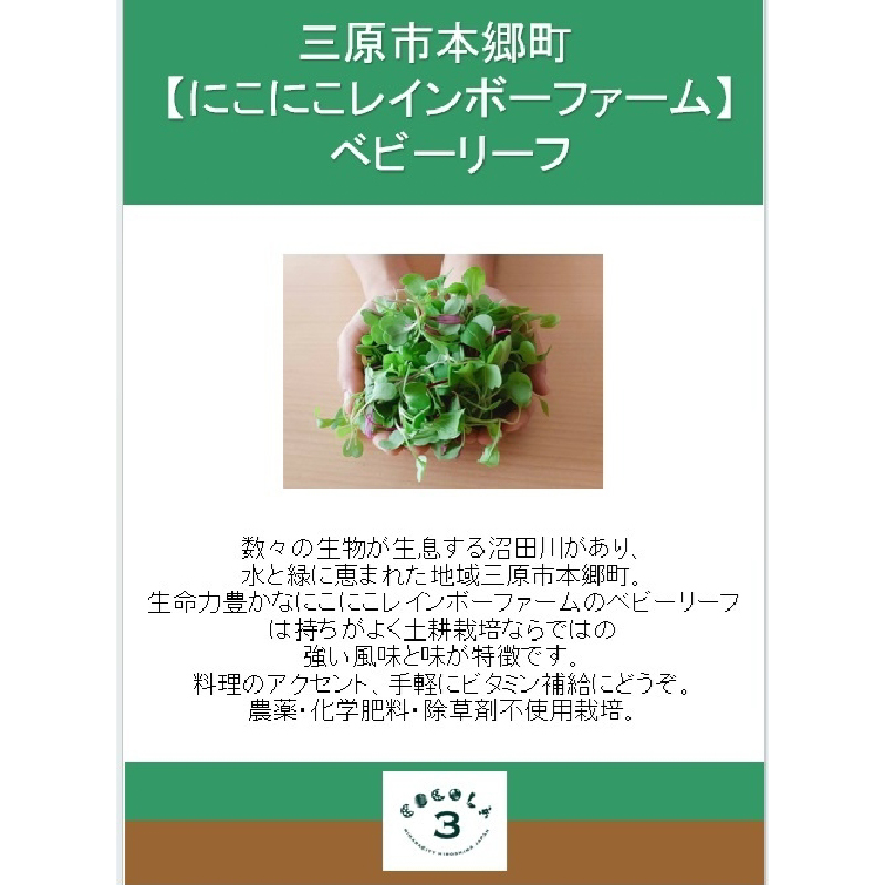 【栽培期間中無農薬】野菜のプロが選ぶ. 旬の野菜・卵・天然塩  全５〜７品詰め合わせセット（レシピ付き） 野菜 塩 卵 たまご 有機農家  野菜セット オーガニック レシピ 広島県 三原市 佐木島 083002