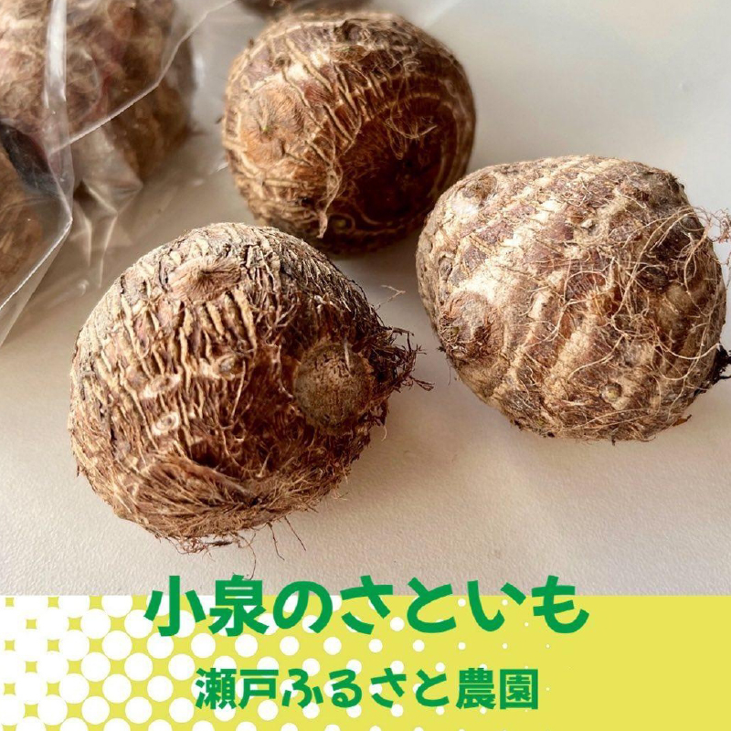 【栽培期間中無農薬】野菜のプロが選ぶ. 旬の野菜・卵・天然塩  全５〜７品詰め合わせセット（レシピ付き） 野菜 塩 卵 たまご 有機農家  野菜セット オーガニック レシピ 広島県 三原市 佐木島 083002