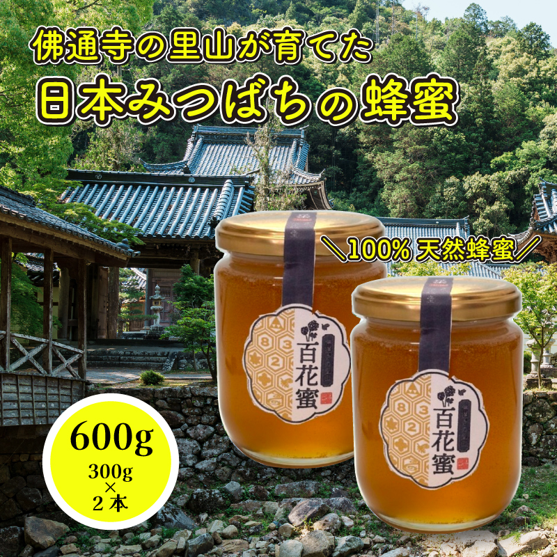 国産 天然蜂蜜 】 はちみつ 日本みつばち 百花蜜 600g（300g×2個） たれ蜜製法 純粋ハチミツ 和蜜倶楽部 108001 -  ふるさとパレット ～東急グループのふるさと納税～