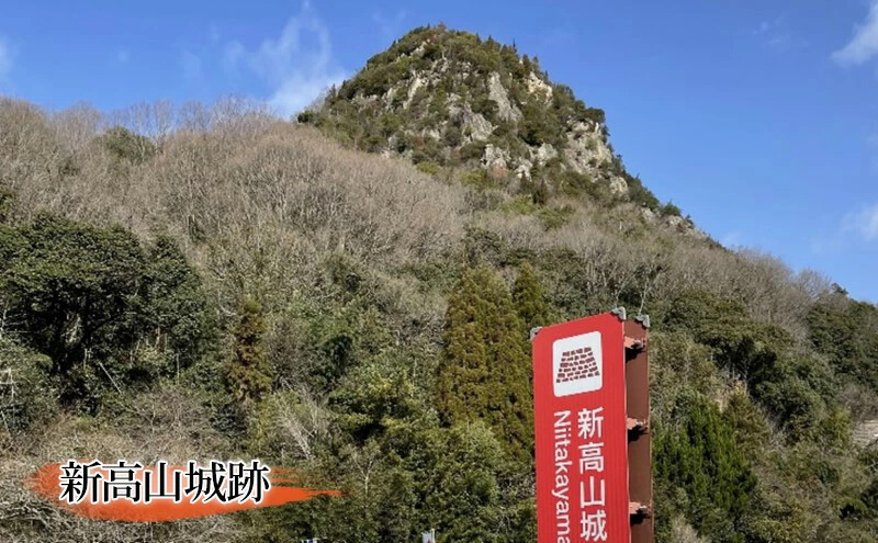 「新高山城 御城印 全6種」 と 「小早川隆景 武将印」 セット 御城印 ノート 和柄 雑貨　110003