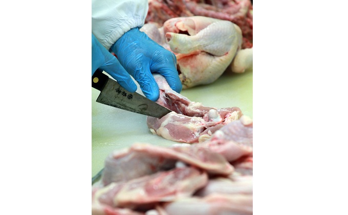 広島県産「みはら神明鶏」のモモ肉2kg（250g×8パック）【配達不可：離島】