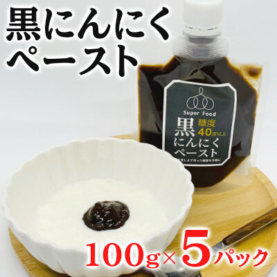 黒にんにくペースト 100g×5パック セット (1) 黒にんにく にんにく 調味料 118001