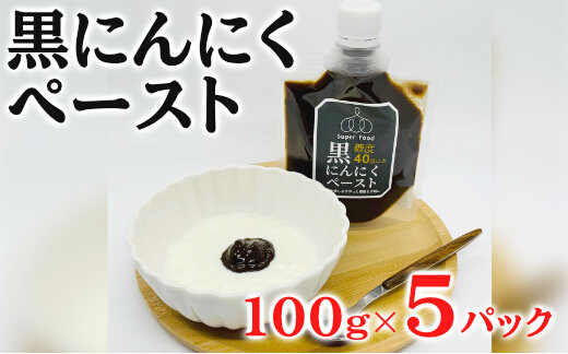 黒にんにくペースト 100g×5パック セット (1) 黒にんにく にんにく 調味料 118001