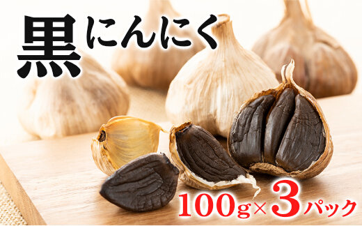 黒にんにく 100g×3パック セット (2) にんにく 加工品 118002