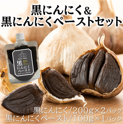 黒にんにく 200g×2パック 黒にんにくペースト 100g×1パック セット (5) 調味料 にんにく 118005