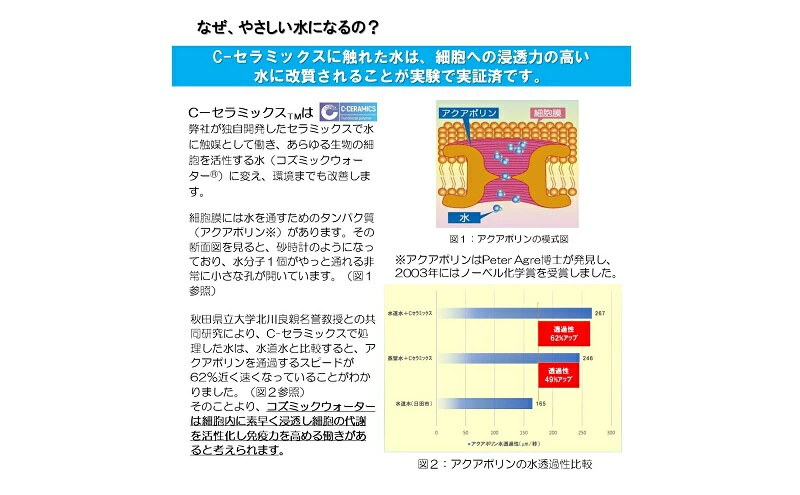 コズミックパック2L 12ヶ月用（6か月用×2パック）浄水パック デトックス 腸活 C-セラミックス 活性炭　125001