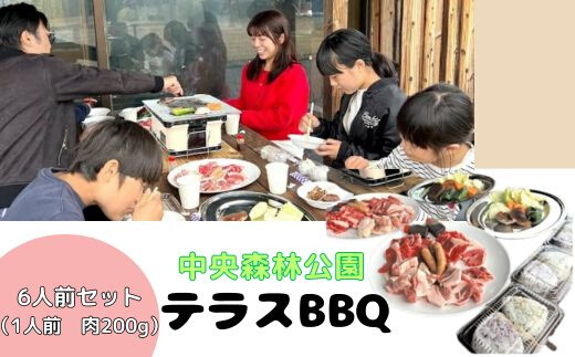 中央森林公園 テラスBBQ 6人前セット (1人前 肉200g) ランチ 手ぶら お手軽 バーベキュー 126005