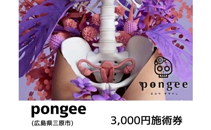 チケット 広島 pongee 美容整骨 施術券 3,000円分 フェムケア 矯正 骨盤矯正 美容 サロン 3000円 広島県 三原市 129001