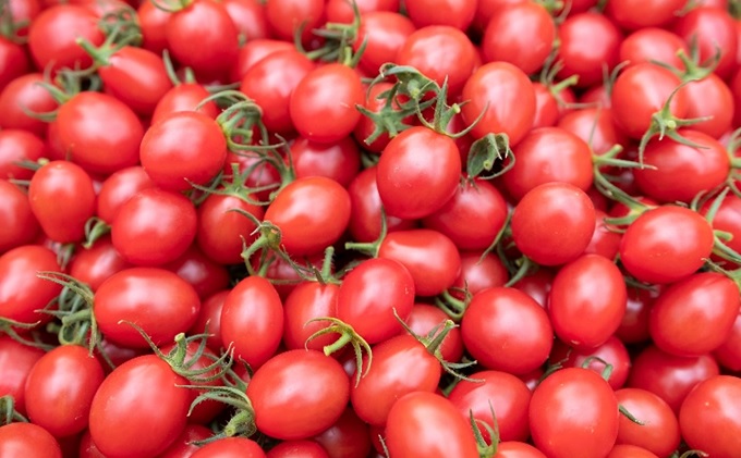ひりょうやさんの トマトジュース 500ml×1本、80ml×2本 広島 三原 大成農材 魚エキス肥料