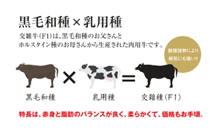 清麻呂牛 ロース テキ肉 約540g（約180g×3枚）岡山市場発F1 牛肉　53110647