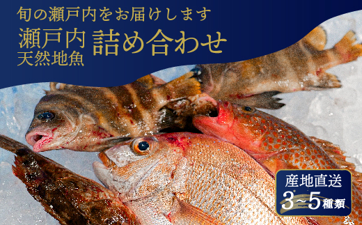 瀬戸内産 鮮魚 地魚詰め合わせ（3～5種類）瀬戸内の天然鯛入り/ 地魚 鯛 天然鯛 真鯛 天然 鮮魚 下処理済 瀬戸内 広島県 三原市　154003