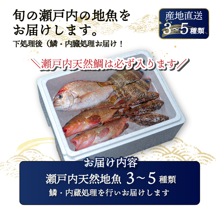 瀬戸内産 鮮魚 地魚詰め合わせ（3～5種類）瀬戸内の天然鯛入り/ 地魚 鯛 天然鯛 真鯛 天然 鮮魚 下処理済 瀬戸内 広島県 三原市　154003