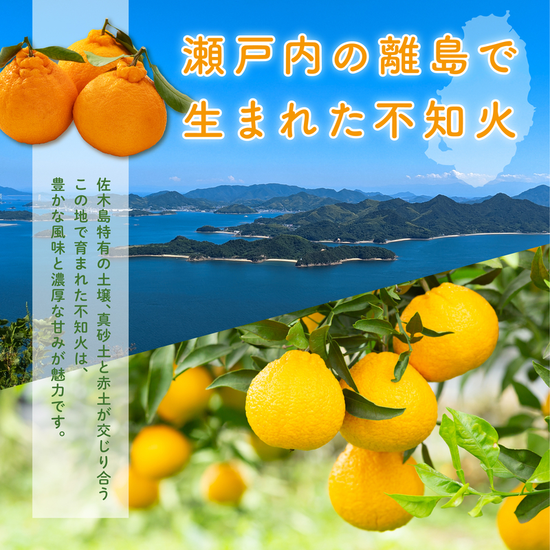 【先行受付】【訳あり】瀬戸内 島の不知火 約5kg 白鷺農園《2025年2月下旬-4月上旬頃出荷》 デコポン と同品種  旬 柑橘 フルーツ 果物 しらぬい デコポン わけあり 規格外 不知火 164003