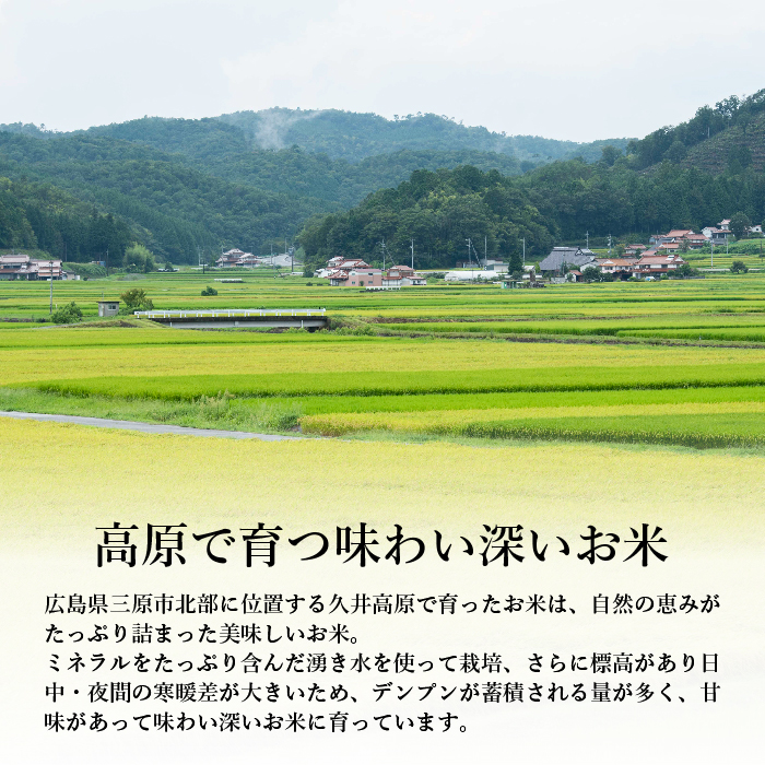 【3ヵ月定期便】令和６年度新米 お米マイスターがお届けする コシヒカリ 5kg  こしひかり 白米  コメ 精米 広島県産こしひかり  169002