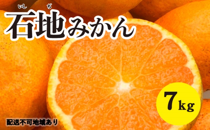 みかん 柑橘 【2023年12月以降発送】糖度が高く濃厚！ 石地みかん ＜約