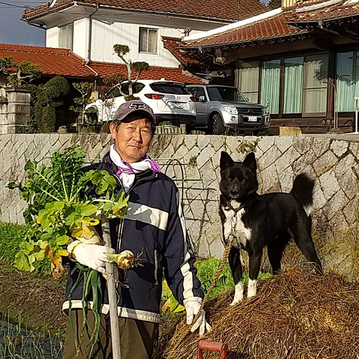 コシヒカリ5kg【令和6年産】新米 コシヒカリ こしひかり ごはん お米 米 おにぎり 令和６年  181002