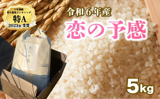 【令和６年産】恋の予感 白米5kg お米 米 精米 ごはん ご飯 広島県 三原市 187001