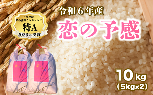 【令和６年産】恋の予感 白米10kg（5kg×2袋） お米 米 精米 ごはん ご飯 広島県 三原市 187002