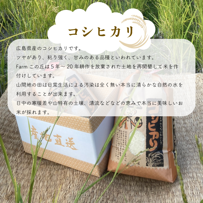 【令和６年産】コシヒカリ 白米5kg お米 米 精米 ごはん ご飯 広島県 三原市 187004