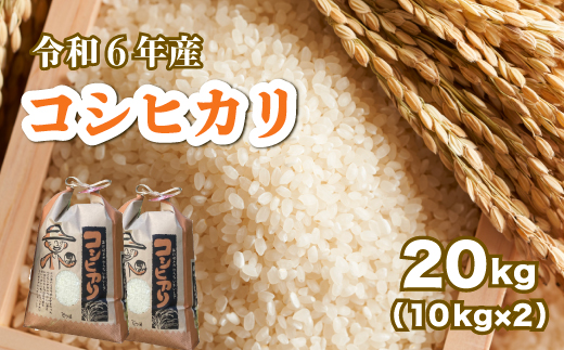 【令和６年産】コシヒカリ 白米20kg（10kg×2袋） お米 米 精米 ごはん ご飯 広島県 三原市 187006