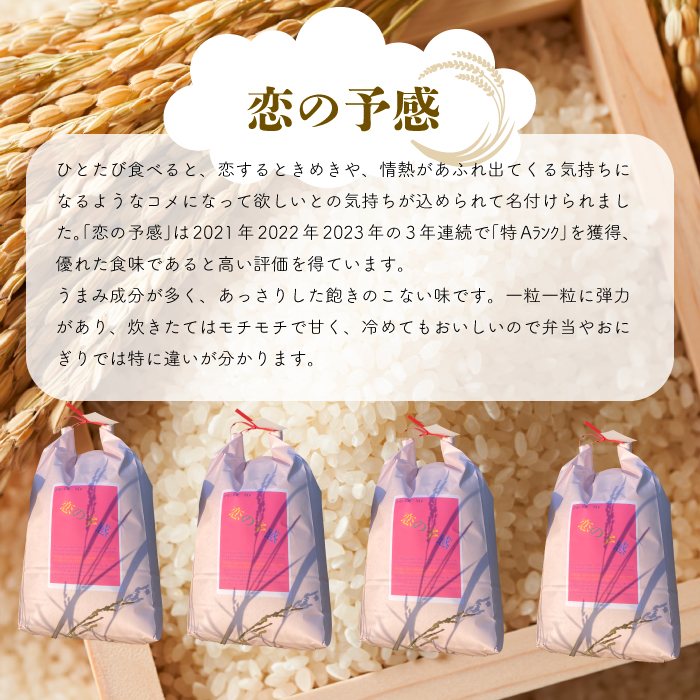 【令和６年産】お米2種食べ比べ 恋の予感5kg コシヒカリ5kg 白米 お米 米 精米 ごはん ご飯 広島県 三原市 187008